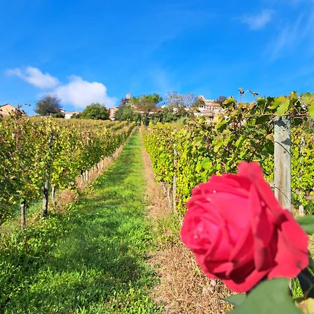 B&B Vigneto Pardom Montiglio Bagian luar foto