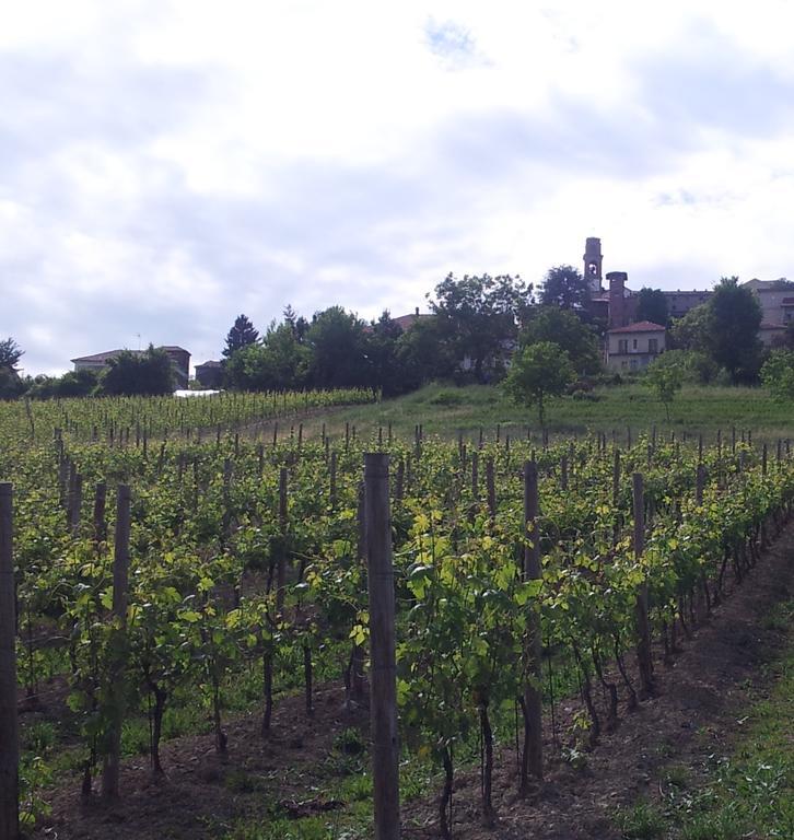B&B Vigneto Pardom Montiglio Bagian luar foto