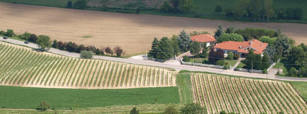 B&B Vigneto Pardom Montiglio Bagian luar foto